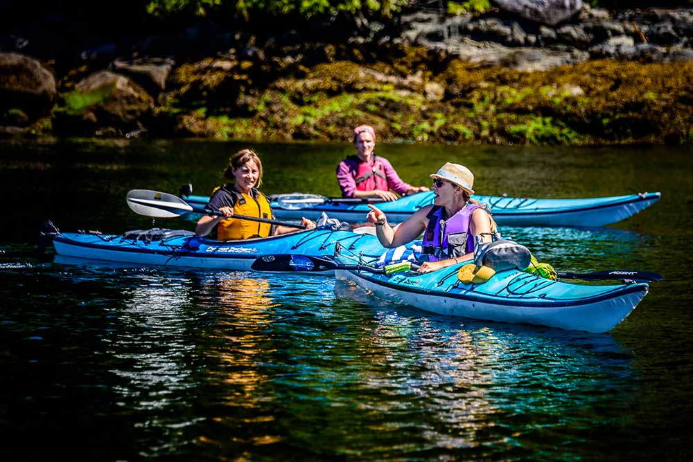 Kayak Our Inlets West Coast Wilderness Lodge